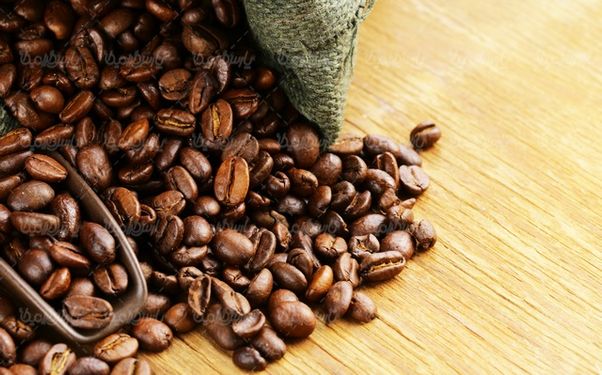 coffee bean