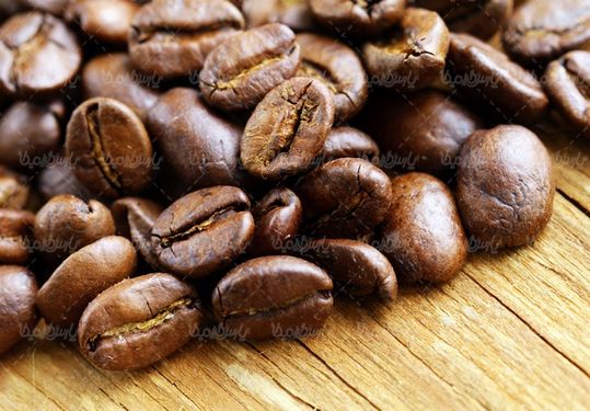 coffee bean
