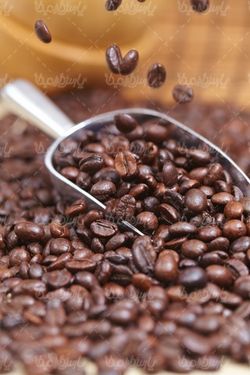 coffee bean