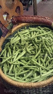 لوبیا سبز