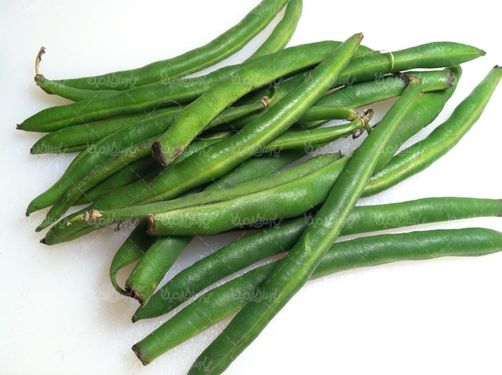 لوبیا سبز