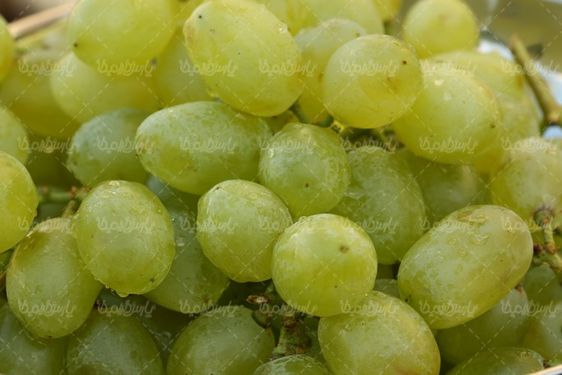 Bunch of grapes