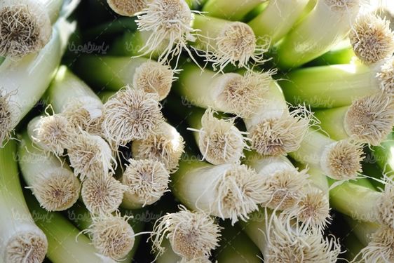 پیازچه