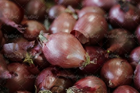Onion