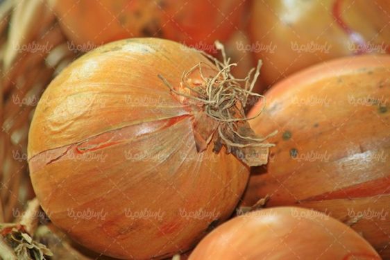 Onion