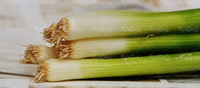 پیازچه