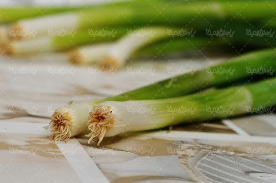 پیازچه