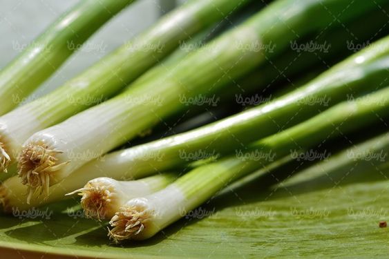 پیازچه