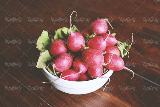 تربچه