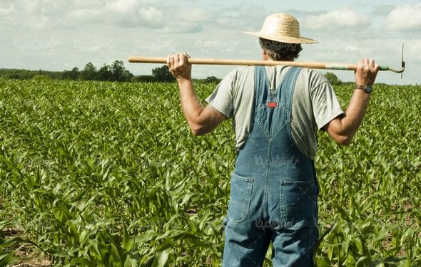 Agriculture