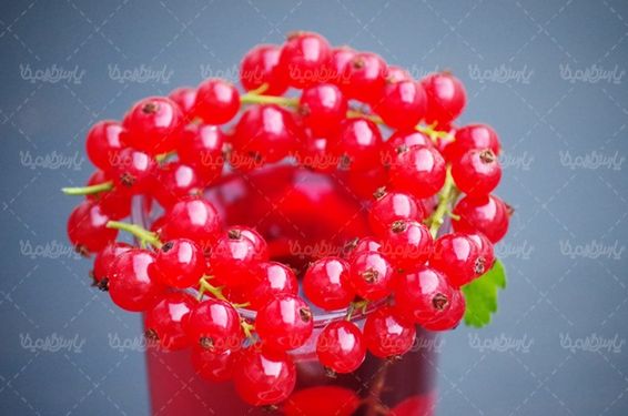 میوه