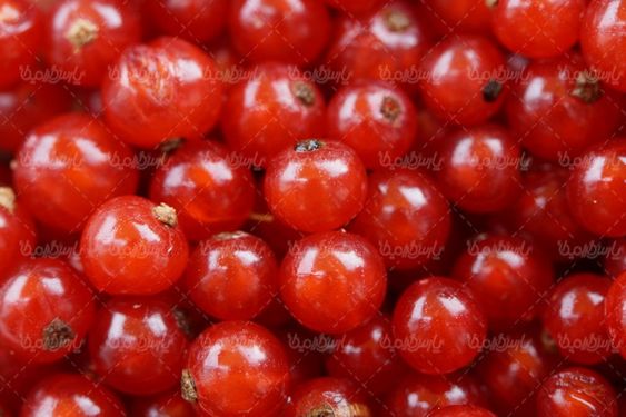 Fruit