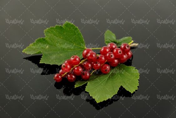 Tropical fruit