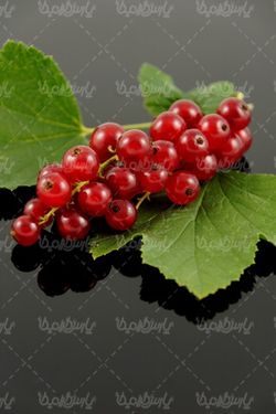Tropical fruit