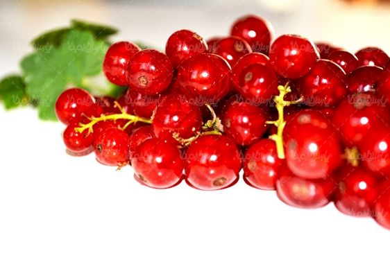 Tropical fruit