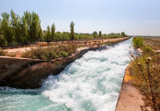 کشاورزی مدرن