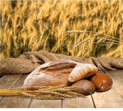 Bread