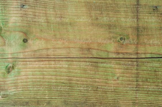Wood texture