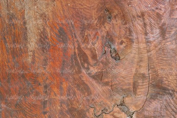 Wooden wallpaper