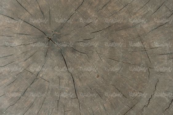 Wooden texture