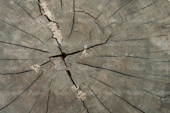 Wooden texture