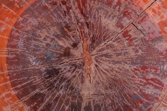 Wooden texture