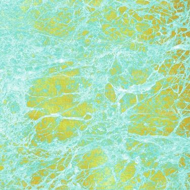 Texture