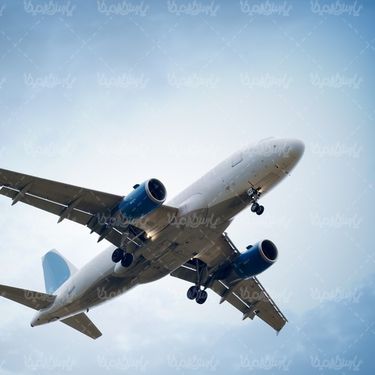 Travel Agency
