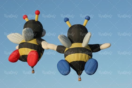 Balloon