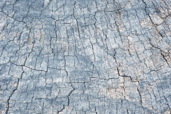 Wooden texture