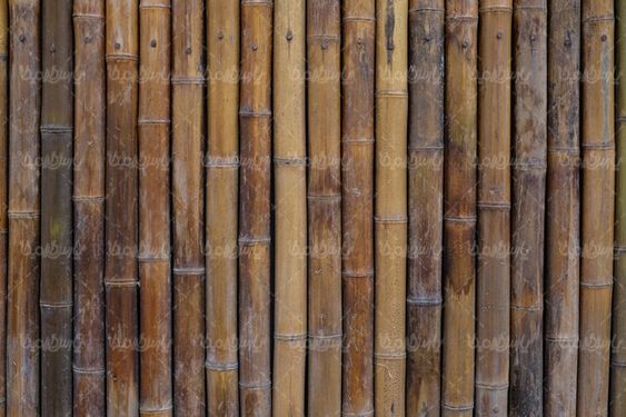 Wood wallpaper