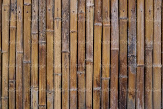 Wood wallpaper