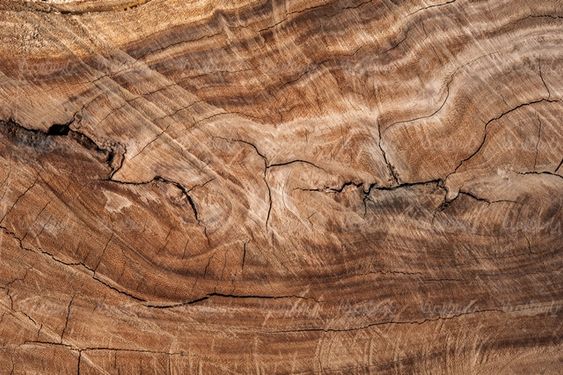 Wood texture