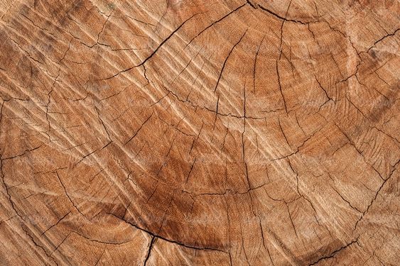Wood texture