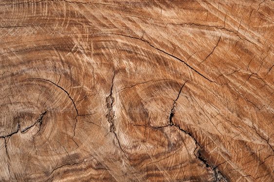 Wood texture