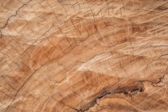 Wood texture