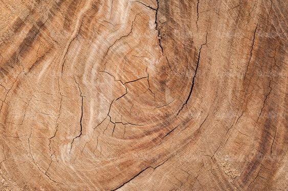 Wood texture