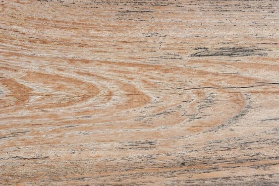 Wood texture
