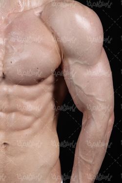 Six piece body