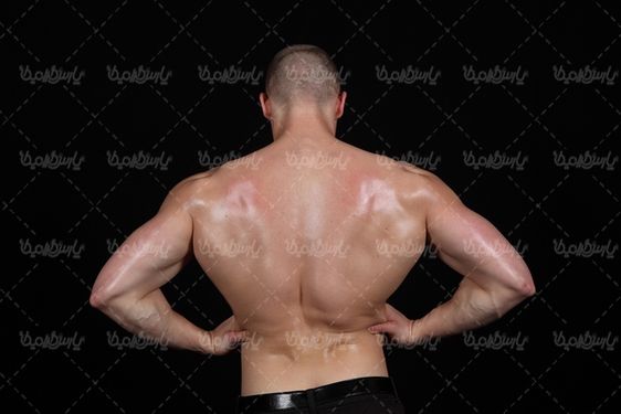 Six piece body