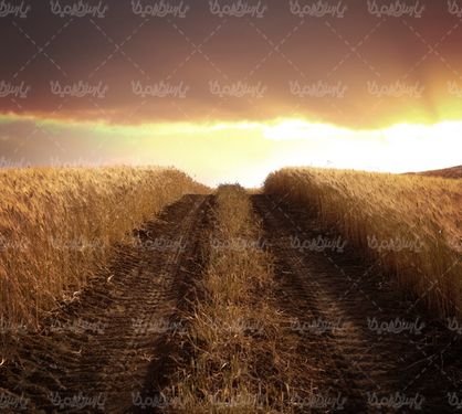 Road