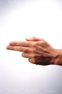 Hand signs