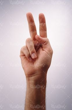 Hand signs