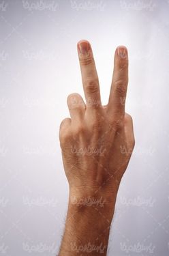 hand signal