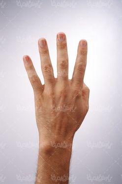 hand signal