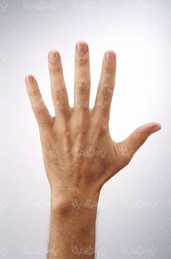 hand signal