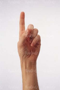 hand signal