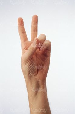 hand signal