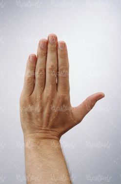 hand signal