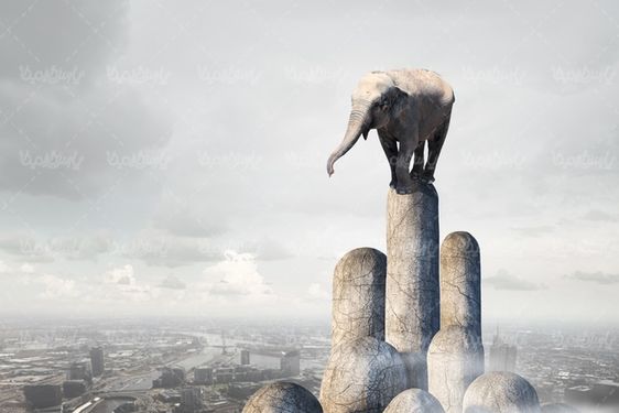فیل
